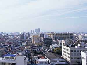 確かな情報収集とコンサルティング